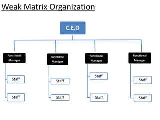 Weak Matrix Organization
Functional
Manager
Staff
Staff
Functional
Manager
Staff
Staff
Functional
Manager
Staff
Staff
Functional
Manager
Staff
Staff
C.E.O
 