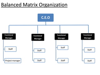 Balanced Matrix Organization
Functional
Manager
Staff
Project manager
Functional
Manager
Staff
Staff
Functional
Manager
Staff
Staff
Functional
Manager
Staff
Staff
C.E.O
 