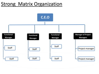 Strong Matrix Organization
Functional
Manager
Staff
Staff
Functional
Manager
Staff
Staff
Functional
Manager
Staff
Staff
Manager of Project
Managers
Project manager
Project manager
C.E.O
 