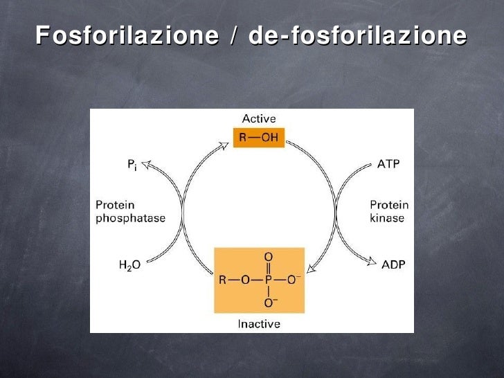 1.proteins