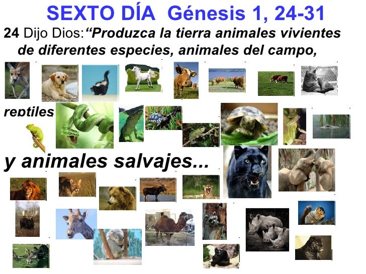 1. proto historia de israel. antiguo testamento. la creación. ge 1 y …