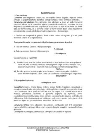48
Guía de Consulta de Diversidad Vegetal- FACENA (UNNE)
PTERIDOFITAS- Gleicheniaceae
En Argentina se encuentran las espec...