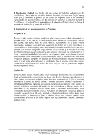 67
Guía de Consulta de Diversidad Vegetal- FACENA (UNNE)
PTERIDOFITAS- Cyatheaceae
4. Ilustraciones
Fig.1 Cyathea atrovire...