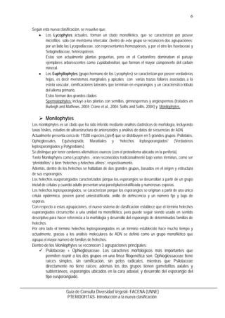 7
Guía de Consulta Diversidad Vegetal- FACENA (UNNE)
PTERIDOFITAS- Introducción a la nueva clasificación.
Equisetaceae + M...