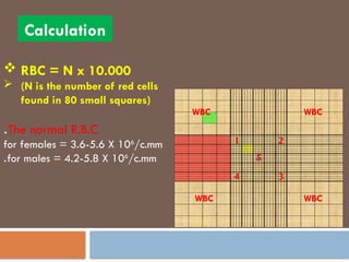 5 Rbc Square 1-Red Blood Cell hahajdhad Counting.pptx