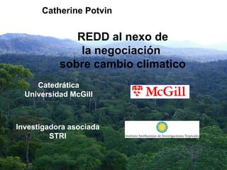 Catherine Potvin


              REDD al nexo de
               la negociación
           sobre cambio climatico
     Catedrática
  Universidad McGill



Investigadora asociada
         STRI
 