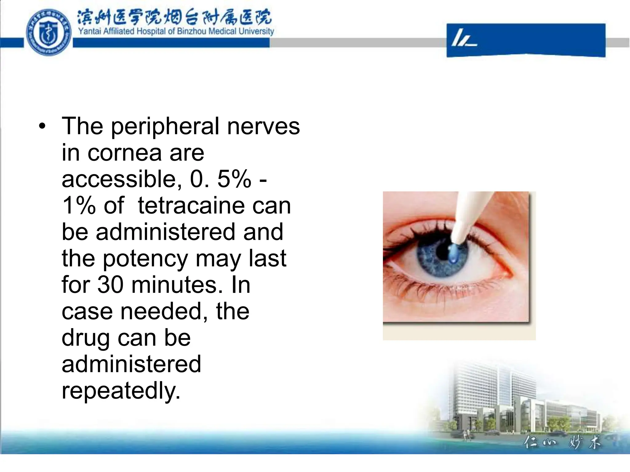 • The peripheral nerves
in cornea are
accessible, 0. 5% -
1% of tetracaine can
be administered and
the potency may last
for 30 minutes. In
case needed, the
drug can be
administered
repeatedly.
 