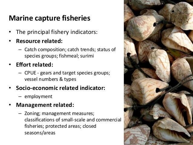 Asia Pacific Fishery Commission Regional Overview Of