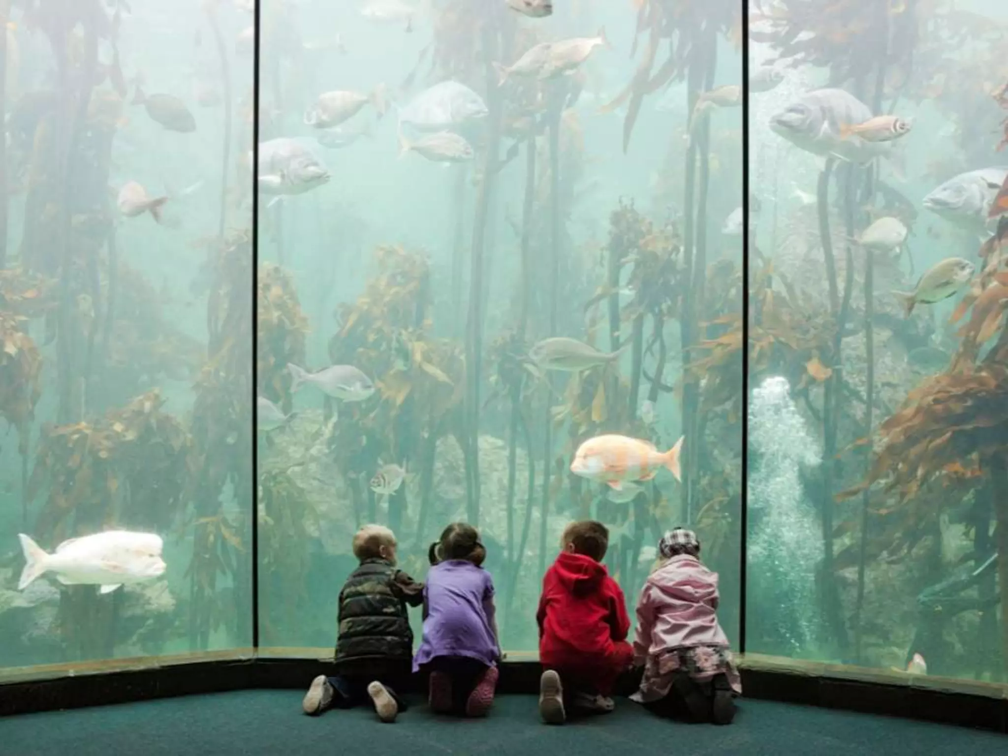 45 Presentation Title runs here l 00/00/00
 