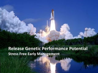 Release Genetic Performance Potential
Part 1
Stress Free Early Management
Part1
 