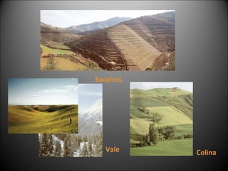 Socalcos Vale Colina 