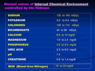 SODIUM 135 to 145 mEq/L
POTASSIUM 3.5 to 5.5 mEq/L
CHLORIDES 100 to 110 mEq/L
BICARBONATE 24 to 26 mEq/L
CALCIUM 8.6 to 10 mg/dl
MAGNESIUM 1.6 to 2.4 mg/dl
PHOSPHORUS 3.0 to 5.0 mg/dl
URIC ACID 2.5 to 6.0 mg/dl
pH 7.4
CREATININE 0.8 to 1.4 mg/dl
Normal values of Internal Chemical Environment
controlled by the Kidneys
:
15 to 20 mg/dl
BUN (Blood Urea Nitrogen)
 