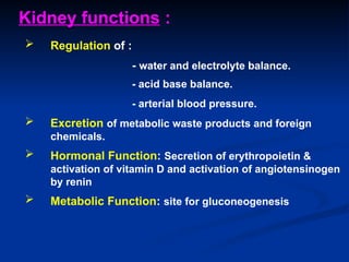  Regulation of :
- water and electrolyte balance.
- acid base balance.
- arterial blood pressure.
 Excretion of metabolic waste products and foreign
chemicals.
 Hormonal Function: Secretion of erythropoietin &
activation of vitamin D and activation of angiotensinogen
by renin
 Metabolic Function: site for gluconeogenesis
Kidney functions :
 