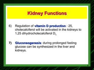 1 Renal Physiology 1 Renal Functions Basic Concepts Ppt