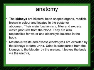 1-Renal Physiology 1 (Renal Functions & Basic Concepts).ppt
