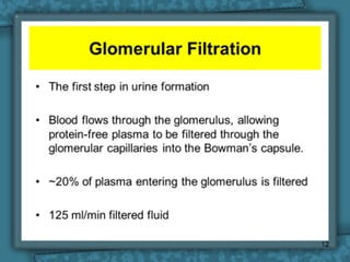 1-Renal Physiology 1 (Renal Functions & Basic Concepts).ppt