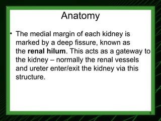 1-Renal Physiology 1 (Renal Functions & Basic Concepts).ppt