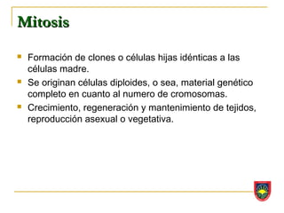 Mitosis
   Formación de clones o células hijas idénticas a las
    células madre.
   Se originan células diploides, o sea, material genético
    completo en cuanto al numero de cromosomas.
   Crecimiento, regeneración y mantenimiento de tejidos,
    reproducción asexual o vegetativa.
 