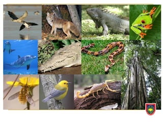 Reproducción Celular