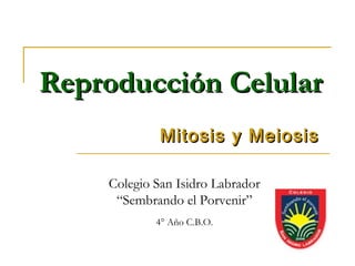 Reproducción Celular
             Mitosis y Meiosis

    Colegio San Isidro Labrador
     “Sembrando el Porvenir”
            4° Año C.B.O.
 