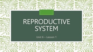 REPRODUCTIVE
SYSTEM
Unit 6 – Lesson 1
 