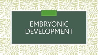 EMBRYONIC
DEVELOPMENT
 