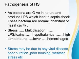 Veterinary Pathology of Respiratory System | PPT