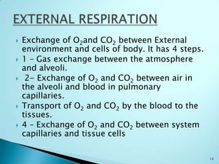 O2 Learning Exchange 1. respiratory system | PPTX