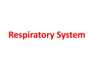 Respiratory System
 