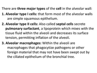 There are three major types of the cell in the alveolar wall:
1. Alveolar type I cells: that form most of the alveolar walls
are simple squamous epithelium.
2. Alveolar type II cells: Also called septal cells secrete
pulmonary surfactant, a lipoprotein which mixes with the
tissue fluid within the alveoli and decreases its surface
tension, permitting inflation of the alveoli.
3. Alveolar macrophages: Within the alveoli are
macrophages that phagocytize pathogens or other
foreign material that may not have been swept out by
the ciliated epithelium of the bronchial tree.
 