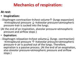 Mechanics of respiration:
At rest:
• Inspiration:
- Diaphragm conrtraction→chest volume↑ (lungs expansion)
→intrapleural pressure ↓→alveolar pressure<atmospheric
pressure→air is sucked into the lungs.
(At the end of an inspiration, alveolar pressure=atmospheric
pressure and airflow stops )
• Expiration:
- Diaphragm relaxation→chest volume↓ (lungs conrtraction)
→intrapleural pressure ↑→alveolar pressure>atmospheric
pressure→ air is pushed out of the lungs. Therefore,
expiration is a passive process. (At the end of an exspiration,
also alveolar pressure=atmospheric pressure and airflow
stops )
 