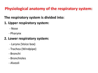 Physiological anatomy of the respiratory system:
The respiratory system is divided into:
1. Upper respiratory system:
- Nose
- Pharynx
2. Lower respiratory system:
- Larynx (Voice box)
- Trachea (Windpipe)
- Bronchi
- Bronchioles
- Alveoli
 