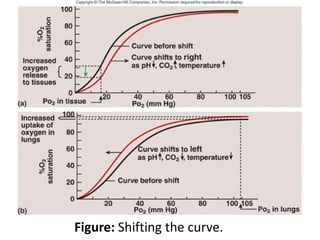 Figure: Shifting the curve.
 