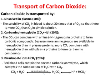Transport of Carbon Dioxide:
Carbon dioxide is transported by:
1. Dissolved in plasma (10%):
- The solubility of CO2 in blood is about 20 times that of O2, so that there
is more CO2 than O2 in simple solution.
2. Carbaminohemoglobin (CO2+Hb) (20%):
- The CO2 can combine with amine (-NH2) groups in proteins to form
carbonic compounds. Because more amine groups are available in
hemoglobin than in plasma proteins, more CO2 combines with
hemoglobin than with plasma proteins to form carbamino
compounds.
3. Bicarbonate ions HC03
- (70%):
- Red blood cells contain the enzyme carbonic anhydrase, which
catalyzes the combination of H2O with CO2.
CO2 + H2O carbonic anhydrase H2CO3 H + + HCO3
-
 