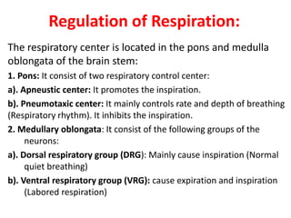 Regulation of Respiration:
The respiratory center is located in the pons and medulla
oblongata of the brain stem:
1. Pons: It consist of two respiratory control center:
a). Apneustic center: It promotes the inspiration.
b). Pneumotaxic center: It mainly controls rate and depth of breathing
(Respiratory rhythm). It inhibits the inspiration.
2. Medullary oblongata: It consist of the following groups of the
neurons:
a). Dorsal respiratory group (DRG): Mainly cause inspiration (Normal
quiet breathing)
b). Ventral respiratory group (VRG): cause expiration and inspiration
(Labored respiration)
 