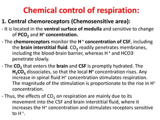 Chemical control of respiration:
1. Central chemoreceptors (Chemosensitive area):
- It is located in the ventral surface of medulla and sensitive to change
of PCO2 and H+ concentration.
- The chemoreceptors monitor the H + concentration of CSF, including
the brain interstitial fluid. CO2 readily penetrates membranes,
including the blood-brain barrier, whereas H + and HCO3-
penetrate slowly.
- The CO2 that enters the brain and CSF is promptly hydrated. The
H2CO3 dissociates, so that the local H+ concentration rises. Any
increase in spinal fluid H+ concentration stimulates respiration.
The magnitude of the stimulation is proportionate to the rise in H+
concentration.
- Thus, the effects of CO2 on respiration are mainly due to its
movement into the CSF and brain interstitial fluid, where it
increases the H+ concentration and stimulates receptors sensitive
to H +.
 