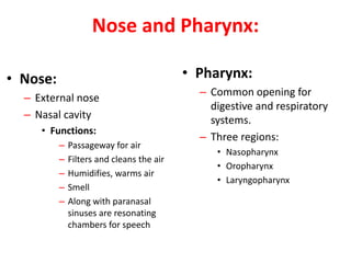 Nose and Pharynx:
• Nose:
– External nose
– Nasal cavity
• Functions:
– Passageway for air
– Filters and cleans the air
– Humidifies, warms air
– Smell
– Along with paranasal
sinuses are resonating
chambers for speech
• Pharynx:
– Common opening for
digestive and respiratory
systems.
– Three regions:
• Nasopharynx
• Oropharynx
• Laryngopharynx
 