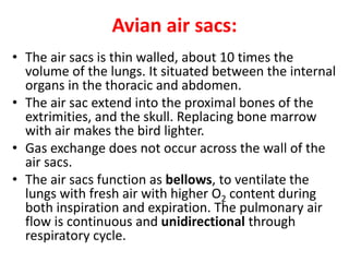 Avian air sacs:
• The air sacs is thin walled, about 10 times the
volume of the lungs. It situated between the internal
organs in the thoracic and abdomen.
• The air sac extend into the proximal bones of the
extrimities, and the skull. Replacing bone marrow
with air makes the bird lighter.
• Gas exchange does not occur across the wall of the
air sacs.
• The air sacs function as bellows, to ventilate the
lungs with fresh air with higher O2 content during
both inspiration and expiration. The pulmonary air
flow is continuous and unidirectional through
respiratory cycle.
 