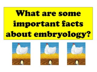 What are some
 important facts
about embryology?
 