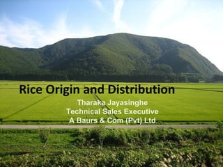 Rice Origin and Distribution
Tharaka Jayasinghe
Technical Sales Executive
A Baurs & Com (Pvt) Ltd

 