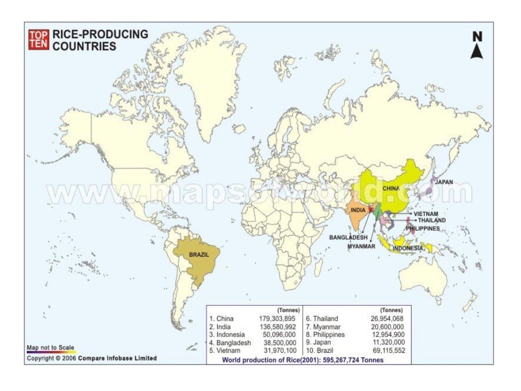 1 Origin of Rice in the world