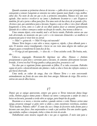 Quando cessaram as primeiras chuvas de inverno — julho devia estar principiando —, 
começaram a semear. Lançaram as sementes nos sulcos (quanto mais fundo o rego, melhor, 
sabia ele). Na noite do dia em que se fez a primeira semeadura, Maneco teve um sono 
agitado. Ana ouviu-o revolver-se na cama e ànalmente levantar-se e sair. Ergueu-se 
também, foi até a porta e olhou para fora. Era uma noite de lua cheia, de ar parado e frio. 
Avistou o pai, que caminhava para a lavoura. Seguiu-o com os olhos e viu-o àcar olhando 
longamente a terra, como se o calor de seu olhar pudesse fazer as sementes germinarem. 
Quando ele se voltou e começou a andar na direção do rancho, Ana tornou a deitar-se. 
Uma semana depois, certa manhã, mal o sol havia raiado, Pedrinho entrou em casa 
todo alvorotado, no momento em que o avô e o tio tomavam chimarrão e as mulheres se 
preparavam para ir tirar leite no curral. 
— Mãe! — gritou ele. — Mãe! O trigo está nascendo! 
Maneco Terra largou a cuia sobre a mesa, ergueu-se, rápido, e àcou olhando para o 
neto. O menino estava transàgurado e havia no seu rosto uma alegria tão radiosa que 
chegava quase a transformá-lo num foco de luz. 
— O trigo já está aparecendo... — disse ele. — Uma coisinha verde. Tão bonita, mãe, 
tão... Calou-se, engasgado. Brotaram-lhe lágrimas nos olhos. Maneco e Antônio 
precipitaram-se para fora e correram para a lavoura. As sementes efetivamente haviam 
brotado. A terra era boa! O trigo punha a cabeça para fora, procurava o sol! 
Nos dias que se seguiram foram aparecendo as folhas. E os talos cresceram. Pedrinho 
seguia de perto o desenvolvimento das plantas e todos os dias à hora das refeições contava o 
que havia observado. 
Uma tarde, ao voltar da sanga, Ana viu Maneco Terra e o neto conversando 
animadamente na frente da casa como dois bons amigos. Falavam do trigo. Ela sorriu e 
entrou em casa de olhos baixos. 
17 
Depois que as espigas apareceram, sempre que geava os Terras tomavam duma longa 
corda, Antônio pegava numa ponta e Maneco na outra e começavam a andar de cima a 
baixo na lavoura, passando a corda sobre as espigas, para limpá-las da geada. 
Passaram-se os meses, o inverno acabou e quando entrou o verão Maneco cortou uma 
espiga, procurou esmagar os grãos entre os dedos e, como encontrasse resistência, concluiu: 
“Está maduro. Podemos colher”. E num dia seco e limpo de fevereiro todos foram para a 
lavoura com suas foices. Ana surpreendeu-se vendo o pai assobiar. Era um assobio agudo, 
cuja melodia, confusa e sincopada, tinha o ritmo do trote do cavalo. 
Trabalharam como mouros naquele dia e nos que se seguiram. À noite iam para a 
 