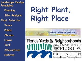 Right Plant,  Right Place Landscape Design Principles Planning Site Analysis Plant Selection Trees  Palms Shrubs Lawns Turf Alternatives Natives Author: Rebecca McNair 