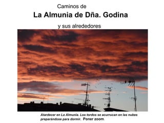 Caminos de
La Almunia de Dña. Godina
y sus alrededores
Atardecer en La Almunia. Los tordos se acurrucan en las nubes
preparándose para dormir. Poner zoom.
 