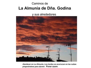 Caminos de
La Almunia de Dña. Godina
y sus alrededores
Atardecer en La Almunia. Los tordos se acurrucan en las nubes
preparándose para dormir. Poner zoom.
 
