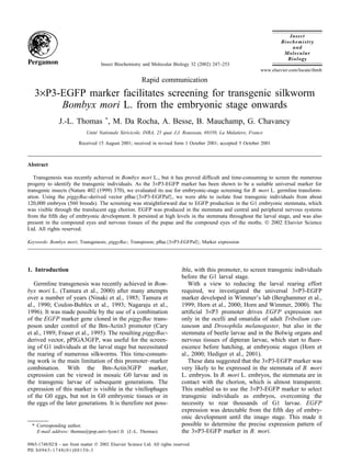 Insect Biochemistry and Molecular Biology 32 (2002) 247–253
www.elsevier.com/locate/ibmb
Rapid communication
3×P3-EGFP marker facilitates screening for transgenic silkworm
Bombyx mori L. from the embryonic stage onwards
J.-L. Thomas *
, M. Da Rocha, A. Besse, B. Mauchamp, G. Chavancy
Unite´ Nationale Se´ricicole, INRA, 25 quai J.J. Rousseau, 69350, La Mulatiere, France
Received 15 August 2001; received in revised form 1 October 2001; accepted 5 October 2001
Abstract
Transgenesis was recently achieved in Bombyx mori L., but it has proved difﬁcult and time-consuming to screen the numerous
progeny to identify the transgenic individuals. As the 3×P3-EGFP marker has been shown to be a suitable universal marker for
transgenic insects (Nature 402 (1999) 370), we evaluated its use for embryonic-stage screening for B. mori L. germline transform-
ation. Using the piggyBac-derived vector pBac{3×P3-EGFPaf}, we were able to isolate four transgenic individuals from about
120,000 embryos (560 broods). The screening was straightforward due to EGFP production in the G1 embryonic stemmata, which
was visible through the translucent egg chorion. EGFP was produced in the stemmata and central and peripheral nervous systems
from the ﬁfth day of embryonic development. It persisted at high levels in the stemmata throughout the larval stage, and was also
present in the compound eyes and nervous tissues of the pupae and the compound eyes of the moths.  2002 Elsevier Science
Ltd. All rights reserved.
Keywords: Bombyx mori; Transgenesis; piggyBac; Transposon; pBac{3×P3-EGFPaf}; Marker expression
1. Introduction
Germline transgenesis was recently achieved in Bom-
byx mori L. (Tamura et al., 2000) after many attempts
over a number of years (Ninaki et al., 1985; Tamura et
al., 1990; Coulon-Bublex et al., 1993; Nagaraju et al.,
1996). It was made possible by the use of a combination
of the EGFP marker gene cloned in the piggyBac trans-
poson under control of the Bm-Actin3 promoter (Cary
et al., 1989; Fraser et al., 1995). The resulting piggyBac-
derived vector, pPIGA3GFP, was useful for the screen-
ing of G1 individuals at the larval stage but necessitated
the rearing of numerous silkworms. This time-consum-
ing work is the main limitation of this promoter–marker
combination. With the Bm-Actin3GFP marker,
expression can be viewed in mosaic G0 larvae and in
the transgenic larvae of subsequent generations. The
expression of this marker is visible in the vitellophages
of the G0 eggs, but not in G0 embryonic tissues or in
the eggs of the later generations. It is therefore not poss-
* Corresponding author.
E-mail address: thomas@pop.univ-lyon1.fr (J.-L. Thomas).
0965-1748/02/$ - see front matter  2002 Elsevier Science Ltd. All rights reserved.
PII: S0965-1748(01)00150-3
ible, with this promoter, to screen transgenic individuals
before the G1 larval stage.
With a view to reducing the larval rearing effort
required, we investigated the universal 3×P3-EGFP
marker developed in Wimmer’s lab (Berghammer et al.,
1999; Horn et al., 2000; Horn and Wimmer, 2000). The
artiﬁcial 3×P3 promoter drives EGFP expression not
only in the ocelli and omatidia of adult Tribolium cas-
taneum and Drosophila melanogaster, but also in the
stemmata of beetle larvae and in the Bolwig organs and
nervous tissues of dipteran larvae, which start to ﬂuor-
escence before hatching, at embryonic stages (Horn et
al., 2000; Hediger et al., 2001).
These data suggested that the 3×P3-EGFP marker was
very likely to be expressed in the stemmata of B. mori
L. embryos. In B. mori L. embryos, the stemmata are in
contact with the chorion, which is almost transparent.
This enabled us to use the 3×P3-EGFP marker to select
transgenic individuals as embryos, overcoming the
necessity to rear thousands of G1 larvae. EGFP
expression was detectable from the ﬁfth day of embry-
onic development until the imago stage. This made it
possible to determine the precise expression pattern of
the 3×P3-EGFP marker in B. mori.
 