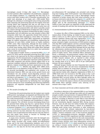 E. Seebach et al. / Acta Biomaterialia 10 (2014) 4730–4741 4739 
macrophages around 2–6 days after injury [34]. Macrophage-secreted 
cytokines affect endothelial cell proliferation, angiogene-sis 
and collagen synthesis [34], suggesting that they may act in 
concert with other resident cells to stimulate vascularization. Our 
model took advantage of an empty and a MSC-seeded fibrin 
hydrogel clot, allowing us to distinguish early arriving and possibly 
faster migrating cells penetrating deep into the implant, from later 
arriving and/or later migrating cells that are still closer to the 
implant edges on day 6. We consistently observed earlier host cell 
infiltration from the proximal defect side which is possibly caused 
by a relative shortage of blood-borne invading host cells at the dis-tal 
defect ending after disruption of blood flow by defect creation. 
Remarkably, host cell infiltration was only initiated in fibrin–MSC 
composites while host cells apparently showed little interest in 
invading a cell-free fibrin hydrogel in a bone defect. This demon-strated 
that signals from viable MSCs represented an important 
trigger for implant integration and remodelling, emphasizing the 
importance of—most likely—soluble factors as trophic mediators 
of MSC action. Most importantly, although the local number of 
osteoprogenitor cells in the bone cavity is high and may suffice 
to initiate bone healing, defect filling with empty fibrin hydrogel 
alone cannot be recommended due to its rather inert persistence 
without evident cell invasion. 
A large panel of trophic factors is secreted by MSCs [30,31] of 
which IL-6, VEGF and the neutrophil-attracting factor MIP-2 were 
here shown to be expressed by the fibrin-embedded MSCs before 
implantation. This first demonstration of significantly higher VEGF 
mRNA levels in vivo and differential expression patterns between 
fibrin–MSC composites and cell-free controls suggest VEGF as an 
important candidate molecule for endothelial cell attraction, angi-ogenesis, 
implant remodelling and bone regeneration in line with 
the literature [35–37]. Whether the higher VEGF mRNA levels 
resulted from an up-regulation of VEGF in MSCs or is contributed 
by attracted macrophages and endothelial cells remains to be 
determined. However, MSCs not only secrete growth factors and 
chemokines but also produce matrix-degrading proteases and 
extracellular matrix molecules which might act on angiogenesis 
and help in cell migration [38,39]. Overall our study, thus, demon-strates 
that fibrin supports MSCs in organizing a beneficial envi-ronment 
for bone regeneration by facilitating host macrophage 
invasion relevant for tissue remodelling and enhancing endothelial 
progenitor cell migration indispensible for new blood vessel 
formation. 
4.2. The cascade of invading cells 
Pioneering cells penetrating deep into the implant were mainly 
CD68-positive macrophages accompanied and followed by CD31- 
positive endothelial progenitor cells. To our knowledge this is the 
first study demonstrating a cell-dense migration front as a domi-nant 
structure of in vivo integration and remodelling of a fibrin– 
MSC composite. This cell-dense structure developing always from 
the proximal bone ending may thus be a special feature of long 
bone healing or be related to the fibrin hydrogel. At ectopic sites 
in immune-competent [40,41] and immune-deficient host animals 
[42,43] no cell-dense invasion front of host cells into tissue engi-neering 
constructs has been observed. This structure may so far, 
however, have escaped detection either because only late observa-tion 
time points were chosen or because no histology was 
performed at the early time points. 
In many stress situations monocytes enter the damaged area 
and differentiate into a spectrum of mononuclear phagocytes. 
These newly recruited cells usually exhibit pro-inflammatory 
action, and in the tissue inflammatory mediators such as IL-1, 
IL-12 and TNF-a must be balanced with the need to protect tissue 
integrity [44]. Our data for the first time provide evidence that 
pro-inflammatory M1 macrophages also prevailed early during 
long bone healing, while CD163-positive ‘‘anti-inflammatory’’ M2 
macrophages [45] remained rare at day 6. Macrophages remain 
responsive to further stimuli after their initial activation, are by 
no means restricted to only these two categories [46], and M1 mac-rophages 
can convert themselves into anti-inflammatory macro-phages 
with an M2 wound-healing phenotype [47]. Further 
studies at later time points are important to fully understand the 
cascade of invading cells and their fate during long bone healing. 
4.3. Immunomodulation by fibrin-based MSC implantation 
To analyze the effect of fibrin-implanted MSCs on the inflam-matory 
phase of bone healing, we looked for gene expression of 
CD45 as well as IL-1b, TNF-a and IL-10 which represent relevant 
immune mediators during early bone regeneration [48,49]. The 
natural callus adjacent to cell-free fibrin hydrogel in the control 
group contained a higher concentration of CD45-positive immune 
cells than MSC-seeded implants and thus contained higher mRNA 
levels of pro- and anti-inflammatory cytokines at day 3. The pres-ence 
of MSCs in the cell-seeded fibrin hydrogel did not only dilute 
the inflammatory cytokine-producing immune cells of the early 
callus, but can also be expected to actively contribute with a broad 
panel of trophic factors. These beneficial effects ultimately pro-duced 
a stimulatory microenvironment evident from histology, 
organizing remodelling of the fibrin hydrogel. Suppressive actions 
of MSCs towards immune cells, as reported in other settings 
in vitro and in vivo [50], were not apparent at this stage, since 
the average levels of IL-1b, TNF-a and IL-10 per CD45-positive 
immune cell were unaltered. 
Although Sprague–Dawley rats have frequently been used for 
studying outcome after cell and tissue transplantation between 
animals with no evidence for strain-intern rejection [51–53], we 
looked for local gene expression of the T-cell mediator IL-2 as an 
early rejection marker after allogeneic implantation of MSCs. IL-2 
mRNA levels were not increased in the MSC group at day 3 and 
day 6, indicating that no acute T-cell-mediated rejection of the 
implanted MSCs occurred within the fibrin hydrogel within the 
first 6 days, in line with the findings in a syngeneic ectopic mouse 
model [40]. Overall, this argues in favour of a microenvironment in 
MSC-seeded fibrin hydrogel without early silencing of host 
immune cells at days 3 and 6. 
4.4. Tissue maturation and the fate of fibrin-implanted MSCs 
According to detection of the implanted MSCs in our histologi-cal 
sections at day 6, fibrin hydrogel was stable and cell supportive 
enough to enable a local persistence of implanted MSCs for at least 
6 days in a bone defect without connection to the vasculature. Fur-thermore, 
according to detection of male DNA in laser-dissected 
tissue areas behind the migration front, arriving immune cells 
did not immediately degrade implanted MSCs during invasion. 
However, since all cells were lost within 4 weeks after implanta-tion, 
either their limited lifespan, a failure of re-adaptation to 
changing needs during tissue maturation or other weaknesses 
may have caused their ultimate replacement by host-derived 
osteoprogenitor cells localized in adjacent bone marrow. In ectopic 
models a mineral component such as beta-tricalcium phosphate 
(b-TCP) or hydroxyapatite-tricalcium phosphate (HA/TCP) is 
required for long-term MSC engraftment and MSC-mediated bone 
formation [18,54]. Due to our interest in the early immunomodu-latory 
actions of implanted MSCs, we decided to use a fibrin carrier 
without ceramic particles since some inflammatory activity has 
been reported for b-TCP [55,56] which would bias our results. In 
our setting it remains unclear whether or not fibrin-implanted 
MSCs have physically contributed to the maturing osteogenic 
 
