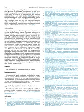 4740 E. Seebach et al. / Acta Biomaterialia 10 (2014) 4730–4741 
tissue of the MSC group until day 14 before replacement by host 
bone. Although sex-mismatched animal models are well estab-lished 
for studying MSC-mediated bone formation [21,57] and ele-gantly 
permit the detection of persisting male cells in female 
recipients without a need for cell labelling [58], a long-term rejec-tion 
of male cells by the female immune system may have contrib-uted 
to our result. The transient role of fibrin-implanted MSCs seen 
here is, however, in line with data from genetically engineered 
ASCs, which effectively stimulated femoral bone healing in rabbits, 
despite some induction of a humoral- and cell-mediated immune 
response and limited cell persistence over 4 weeks [59]. 
5. Conclusions 
In summary, by using fibrin hydrogel—known for its biocom-patibility, 
biodegradability and cell support for implantation of 
MSCs into a long bone defect—we identified attraction of M1 mac-rophages 
and endothelial progenitor cells into the implant as a 
main early beneficial action of fibrin–MSC composites, promoting 
implant integration, angiogenesis and tissue maturation during 
bone regeneration. No evidence for an early immune suppression 
by fibrin-implanted MSCs was obtained, as expression levels of 
the pro-inflammatory cytokines IL-1b and TNF-a as well as the 
anti-inflammatory cytokine IL-10 by the invading immune cells 
were unaltered. Trophic and pro-angiogenic stimulation during 
bone regeneration occurred independently of a long-term engraft-ment 
of the implanted MSCs at the defect site. Early recruitment of 
host repair cells into fibrin hydrogel was most likely stimulated 
through the secretion of bioactive factors including VEGF whose 
elevated levels may have generated a pro-angiogenic environment 
beneficial for bone regeneration. With this advanced understand-ing 
of the mechanisms involved in fibrin hydrogel-based MSC-sup-ported 
bone regeneration, we suggest fibrin hydrogel can serve as 
an attractive carrier for MSC-based tissue engineering approaches 
in long bone repair, supporting early trophic and pro-angiogenic 
activities to improve clinical treatment of atrophic pseudarthrosis, 
bone injury or tumor resection. 
Disclosure 
The authors indicate no potential conflicts of interest. 
Acknowledgements 
We thank Svenja Schäfer and Viviana Grajales for their support 
with the surgery and with animal care. Furthermore we thank 
Nicole Buchta and Birgit Frey for their help with the experiments 
and Simone Gantz for her statistical support. This study (grant RI 
707/8-1) was funded by the priority program SPP1468 ‘‘Immuno-bone’’ 
of the German Research Foundation (DFG). 
Appendix A. Figures with essential color discrimination 
Certain figures in this article, particularly Figs. 1, 2 and 6 are 
difficult to interpret in black and white. The full color images can 
be found in the on-line version, at http://dx.doi.org/10.1016/ 
j.actbio.2014.07.017. 
References 
[1] Patterson TE, Kumagai K, Griffith L, Muschler GF. Cellular strategies for 
enhancement of fracture repair. J Bone Joint Surg Am 2008;90(Suppl. 1):111–9. 
[2] Wu X, Ren J, Li J. Fibrin glue as the cell-delivery vehicle for mesenchymal 
stromal cells in regenerative medicine. Cytotherapy 2012;14:555–62. 
[3] Bensaid W, Triffitt JT, Blanchat C, Oudina K, Sedel L, Petite H. A biodegradable 
fibrin scaffold for mesenchymal stem cell transplantation. Biomaterials 
2003;24:2497–502. 
[4] Dickhut A, Gottwald E, Steck E, Heisel C, Richter W. Chondrogenesis of 
mesenchymal stem cells in gel-like biomaterials in vitro and in vivo. Front 
Biosci 2008;13:4517–28. 
[5] Sierra DH. Fibrin sealant adhesive systems: a review of their chemistry, 
material properties and clinical applications. J Biomater Appl 1993;7:309–52. 
[6] Steck E, Fischer J, Lorenz H, Gotterbarm T, Jung M, Richter W. Mesenchymal 
stem cell differentiation in an experimental cartilage defect: restriction of 
hypertrophy to bone-close neocartilage. Stem Cells Dev 2009;18:969–78. 
[7] Jung M, Kaszap B, Redohl A, Steck E, Breusch S, Richter W, et al. Enhanced early 
tissue regeneration after matrix-assisted autologous mesenchymal stem cell 
transplantation in full thickness chondral defects in a minipig model. Cell 
Transplant 2009;18:923–32. 
[8] Friedenstein AJ, Petrakova KV, Kurolesova AI, Frolova GP. Heterotopic of bone 
marrow. Analysis of precursor cells for osteogenic and hematopoietic tissues. 
Transplantation 1968;6:230–47. 
[9] Sacchetti B et al. Self-renewing osteoprogenitors in bone marrow sinusoids can 
organize a hematopoietic microenvironment. Cell 2007;131:324–36. 
[10] Dominici M et al. Minimal criteria for defining multipotent mesenchymal 
stromal cells. The International Society for Cellular Therapy position 
statement. Cytotherapy 2006;8:315–7. 
[11] Pittenger MF et al. Multilineage potential of adult human mesenchymal stem 
cells. Science 1999;284:143–7. 
[12] Meirelles Lda S, Fontes AM, Covas DT, Caplan AI. Mechanisms involved in the 
therapeutic properties of mesenchymal stem cells. Cytokine Growth Factor 
Rev 2009;20:419–27. 
[13] Caplan AI, Correa D. The MSC: an injury drugstore. Cell Stem Cell 2011;9:11–5. 
[14] Kadiyala S, Jaiswal N, Bruder SP. Culture-expanded, bone marrow-derived 
mesenchymal stem cells can regenerate a critical-sized segmental bone defect. 
Tissue Eng 1997;3:173–85. 
[15] Bruder SP, Kraus KH, Goldberg VM, Kadiyala S. The effect of implants loaded 
with autologous mesenchymal stem cells on the healing of canine segmental 
bone defects. J Bone Joint Surg Am 1998;80:985–96. 
[16] Quarto R et al. Repair of large bone defects with the use of autologous bone 
marrow stromal cells. N Engl J Med 2001;344:385–6. 
[17] Marcacci M et al. Stem cells associated with macroporous bioceramics for long 
bone repair: 6- to 7-year outcome of a pilot clinical study. Tissue Eng 
2007;13:947–55. 
[18] Janicki P, Boeuf S, Steck E, Egermann M, Kasten P, Richter W. Prediction of 
in vivo bone forming potency of bone marrow-derived human mesenchymal 
stem cells. Eur Cell Mater 2011;21:488–507. 
[19] Janicki P, Kasten P, Kleinschmidt K, Luginbuehl R, Richter W. Chondrogenic 
pre-induction of human mesenchymal stem cells on beta-TCP: enhanced bone 
quality by endochondral heterotopic bone formation. Acta Biomater 
2010;6:3292–301. 
[20] Giannoni P, Scaglione S, Daga A, Ilengo C, Cilli M, Quarto R. Short-time survival 
and engraftment of bone marrow stromal cells in an ectopic model of bone 
regeneration. Tissue Eng Part A 2010;16:489–99. 
[21] Boukhechba F et al. Fate of bone marrow stromal cells in a syngenic model of 
bone formation. Tissue Eng Part A 2011;17:2267–78. 
[22] Zimmermann CE, Gierloff M, Hedderich J, Acil Y, Wiltfang J, Terheyden H. 
Survival of transplanted rat bone marrow-derived osteogenic stem cells 
in vivo. Tissue Eng Part A 2011;17:1147–56. 
[23] Prockop DJ. Repair of tissues by adult stem/progenitor cells (MSCs): 
controversies, myths, and changing paradigms. Mol Ther 2009;17:939–46. 
[24] Hughes PC, Tanner JM. The assessment of skeletal maturity in the growing rat. 
J Anat 1970;106:371–402. 
[25] Dobson KR, Reading L, Haberey M, Marine X, Scutt A. Centrifugal isolation of 
bone marrow from bone: an improved method for the recovery and 
quantitation of bone marrow osteoprogenitor cells from rat tibiae and 
femurae. Calcif Tissue Int 1999;65:411–3. 
[26] Meirelles Lda S, Nardi NB. Murine marrow-derived mesenchymal stem cell: 
isolation, in vitro expansion, and characterization. Br J Haematol 
2003;123:702–11. 
[27] Winter A et al. Cartilage-like gene expression in differentiated human stem 
cell spheroids: a comparison of bone marrow-derived and adipose tissue-derived 
stromal cells. Arthritis Rheum 2003;48:418–29. 
[28] Mantovani A, Sica A, Sozzani S, Allavena P, Vecchi A, Locati M. The chemokine 
system in diverse forms of macrophage activation and polarization. Trends 
Immunol 2004;25:677–86. 
[29] Brown BN, Valentin JE, Stewart-Akers AM, McCabe GP, Badylak SF. 
Macrophage phenotype and remodeling outcomes in response to biologic 
scaffolds with and without a cellular component. Biomaterials 
2009;30:1482–91. 
[30] Wagner W et al. Molecular and secretory profiles of human mesenchymal 
stromal cells and their abilities to maintain primitive hematopoietic 
progenitors. Stem Cells 2007;25:2638–47. 
[31] Kinnaird T, Stabile E, Burnett MS, Lee CW, Barr S, Fuchs S, et al. Marrow-derived 
stromal cells express genes encoding a broad spectrum of arteriogenic 
cytokines and promote in vitro and in vivo arteriogenesis through paracrine 
mechanisms. Circ Res 2004;94:678–85. 
[32] Huang NF, Chu J, Lee RJ, Li S. Biophysical and chemical effects of fibrin on 
mesenchymal stromal cell gene expression. Acta Biomater 2010;6:3947–56. 
[33] Raggatt LJ, Partridge NC. Cellular and molecular mechanisms of bone 
remodeling. J Biol Chem 2010;285:25103–8. 
[34] Park JE, Barbul A. Understanding the role of immune regulation in wound 
healing. Am J Surg 2004;187:11S–6S. 
 
