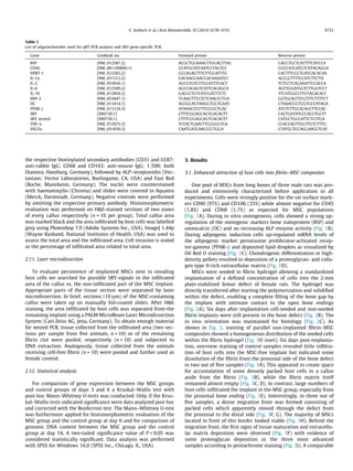 E. Seebach et al. / Acta Biomaterialia 10 (2014) 4730–4741 4733 
the respective biotinylated secondary antibodies (CD31 and CCR7: 
anti-rabbit IgG; CD68 and CD163: anti-mouse IgG; 1:500; both 
Dianova, Hamburg, Germany), followed by ALP–streptavidin (Vec-tastain; 
Vector Laboratories, Burlingame, CA, USA) and Fast Red 
(Roche, Mannheim, Germany). The nuclei were counterstained 
with haematoxylin (Chroma) and slides were covered in Aquatex 
(Merck, Darmstadt, Germany). Negative controls were performed 
by omitting the respective primary antibody. Histomorphometric 
evaluation was performed on HE-stained sections of two zones 
of every callus respectively (n = 10 per group). Total callus area 
was marked black and the area infiltrated by host cells was labelled 
grey using Photoshop 7.0 (Adobe Systems Inc., USA). ImageJ 1.44p 
(Wayne Rasband, National Institutes of Health, USA) was used to 
assess the total area and the infiltrated area. Cell invasion is stated 
as the percentage of infiltrated area related to total area. 
2.11. Laser microdissection 
To evaluate persistence of implanted MSCs next to invading 
host cells we searched for possible SRY-signals in the infiltrated 
area of the callus vs. the non-infiltrated part of the MSC implant. 
Appropriate parts of the tissue section were separated by laser 
microdissection. In brief, sections (10 lm) of the MSC-containing 
callus were taken up on manually foil-coated slides. After HE 
staining, the area infiltrated by host cells was separated from the 
remaining implant using a PALM MicroBeam Laser Microdissection 
System (Carl Zeiss AG, Jena, Germany). To obtain enough material 
for nested PCR, tissue collected from the infiltrated area (two sec-tions 
per sample from five animals, n = 10) or of the remaining 
fibrin clot were pooled, respectively (n = 10) and subjected to 
DNA extraction. Analogously, tissue collected from the animals 
receiving cell-free fibrin (n = 10) were pooled and further used as 
female control. 
2.12. Statistical analysis 
For comparison of gene expression between the MSC groups 
and control groups of days 3 and 6 a Kruskal–Wallis test with 
post-hoc Mann–Whitney U-tests was conducted. Only if the Krus-kal– 
Wallis tests indicated significance were data analyzed post hoc 
and corrected with the Bonferroni test. The Mann–Whitney U-test 
was furthermore applied for histomorphometric evaluation of the 
MSC group and the control group at day 6 and for comparison of 
genomic DNA content between the MSC group and the control 
group at day 14. A two-tailed significance value of P  0.05 was 
considered statistically significant. Data analysis was performed 
with SPSS for Windows 16.0 (SPSS Inc., Chicago, IL, USA). 
3. Results 
3.1. Enhanced attraction of host cells into fibrin–MSC composites 
One pool of MSCs from long bones of three male rats was pro-duced 
and extensively characterized before application in all 
experiments. Cells were strongly positive for the rat surface mark-ers 
CD90 (97%) and CD106 (35%) while almost negative for CD45 
(1.8%) and CD68 (1.7%) as expected for MSC populations 
(Fig. 1A). During in vitro osteogenesis, cells showed a strong up-regulation 
of the osteogenic markers bone sialoprotein (BSP) and 
osteocalcin (OC) and an increasing ALP enzyme activity (Fig. 1B). 
During adipogenic induction cells up-regulated mRNA levels of 
the adipogenic marker peroxisome proliferator-activated recep-tor- 
gamma (PPAR-c and deposited lipid droplets as visualized by 
Oil Red O staining (Fig. 1C). Chondrogenic differentiation in high-density 
pellets resulted in deposition of a proteoglycan- and colla-gen 
type II-rich extracellular matrix (Fig. 1D). 
MSCs were seeded in fibrin hydrogel allowing a standardized 
implantation of a defined concentration of cells into the 2 mm 
plate-stabilized femur defect of female rats. The hydrogel was 
directly transferred after starting the polymerization and solidified 
within the defect, enabling a complete filling of the bone gap by 
the implant with intimate contact to the open bone endings 
(Fig. 2A). Six days after implantation cell-seeded and non-seeded 
fibrin implants were still present in the bone defect (Fig. 2B). The 
in vivo orientation was maintained for histology (Fig. 2C). As 
shown in Fig. 3, staining of parallel non-implanted fibrin–MSC 
composites showed a homogeneous distribution of the seeded cells 
within the fibrin hydrogel (Fig. 3H inset). Six days post-implanta-tion, 
overview staining of control samples revealed little infiltra-tion 
of host cells into the MSC-free implant but indicated some 
dissolution of the fibrin from the proximal side of the bone defect 
in two out of five samples (Fig. 3A). This appeared to create space 
for accumulation of some densely packed host cells in a callus 
aside from the fibrin (Fig. 3B), while the fibrin matrix itself 
remained almost empty (Fig. 3C, D). In contrast, large numbers of 
host cells infiltrated the implant in the MSC group, especially from 
the proximal bone ending (Fig. 3E). Interestingly, in three out of 
five samples, a dense migration front was formed consisting of 
packed cells which apparently moved through the defect from 
the proximal to the distal side (Fig. 3F, G). The majority of MSCs 
located in front of this border looked viable (Fig. 3H). Behind the 
migration front, the first signs of tissue maturation and extracellu-lar 
matrix deposition were observed (Fig. 3F) with evidence of 
some proteoglycan deposition in the three most advanced 
samples according to pentachrome staining (Fig. 3I). A comparable 
Table 1 
List of oligonucleotides used for qRT-PCR analysis and SRY-gene-specific PCR. 
Gene GenBank no. Forward primer Reverse primer 
BSP [NM_012587.2] ACGCTGGAAAGTTGGAGTTAG GACCTGCTCATTTTCATCCA 
CD45 [NM_001109890.1] GCATGCATCAATCCTAGTCC GGCCATGATGTCATAGAGGA 
HPRT-1 [NM_012583.2] GCCAGACTTTGTTGGATTTG CACTTTCGCTGATGACACAA 
IL-1b [NM_031512.2] GACAAGCAACGACAAAATCC ACCGCTTTTCCATCTTCTTC 
IL-2 [NM_053836.1] AGCGTGTGTTGGATTTGACT TCTCCTCAGAAATTCCACCA 
IL-6 [NM_012589.2] AGCCAGAGTCATTCAGAGCA AGTTGGATGGTCTTGGTCCT 
IL-10 [NM_012854.2] GACGCTGTCATCGATTTCTC TTCATGGCCTTGTAGACACC 
MIP-2 [NM_053647.1] TGAAGTTTGTCTCAACCCTGA GGTGCAGTTCGTTTCTTTTCT 
OC [NM_013414.1] AGGGCAGTAAGGTGGTGAAT CTAAACGGTGGTGCCATAGA 
PPAR-c [NM_013124.3] ATAAAGTCCTTCCCGCTGAC ATCTCTTGCACAGCTTCCAC 
SRY [X89730.1] CTTTCGGAGCAGTGACAGTT CACTGATATCCCAGCTGCTT 
SRY nested [X89730.1] CTTTCGGAGCAGTGACAGTT CATGCTGGGATTCTGTTGA 
TNF-a [NM_012675.3] TCTACTGAACTTCGGGGTGA CCACCAGTTGGTTGTCTTTG 
VEGFa [NM_031836.3] CAATGATGAAGCCCTGGA CTATGCTGCAGGAAGCTCAT 
 