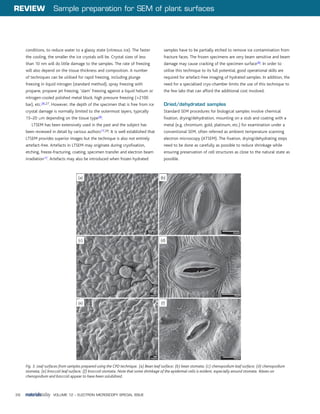 sample preparation of sem for plant smaples | PDF